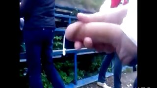 ოთხთვალა მოყვარული ლ ...