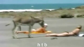ბიუსტი შავგვრემანი ნ ...
