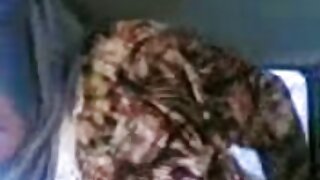 ტიტულოვანი მოხეტიალე ...