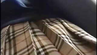 მოქნილი წიწილა კეისი ...